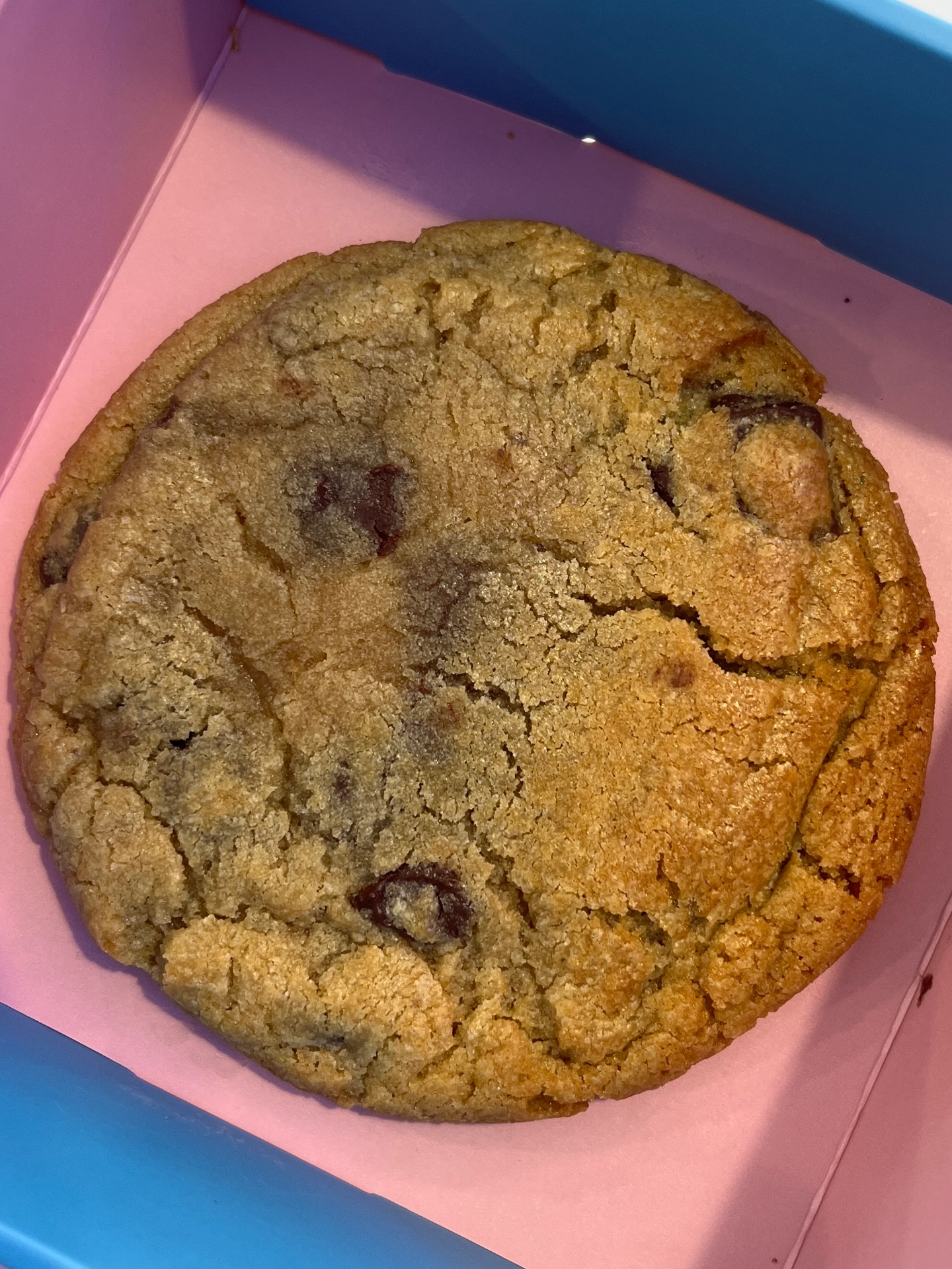 Chocolate Chip